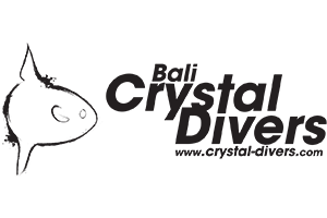 Bali Crystal Diver