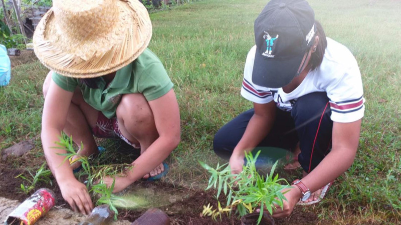 Learning about Permaculture